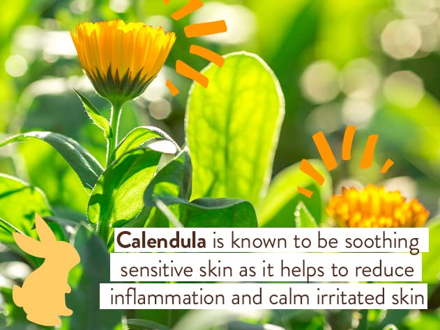 Babo Botanicals Moisturizing Lotion - Face & Body Plant-Based Lotion for Babies, Kids & Adults with Sensitive or Dry Skin - with Colloidal Oatmeal, Organic Calendula & Shea Butter - 8 fl. oz. - Image 4